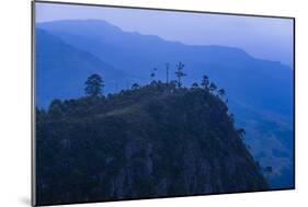 View over Mountains from Haputale in the Sri Lanka Hill Country Landscape at Sunrise-Matthew Williams-Ellis-Mounted Photographic Print