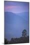 View over Mountains from Haputale in the Sri Lanka Hill Country Landscape at Sunrise-Matthew Williams-Ellis-Mounted Photographic Print