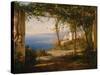 View over Napoli gulf, 1833 by Thomas Fearnley-Thomas Fearnley-Stretched Canvas