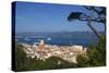 View over Old Town, Saint-Tropez, Var, Provence-Alpes-Cote D'Azur, France, Mediterranean, Europe-Stuart Black-Stretched Canvas