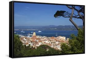 View over Old Town, Saint-Tropez, Var, Provence-Alpes-Cote D'Azur, France, Mediterranean, Europe-Stuart Black-Framed Stretched Canvas