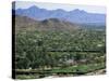 View Over Paradise Valley from the Slopes of Camelback Mountain, Phoenix, Arizona, USA-Ruth Tomlinson-Stretched Canvas