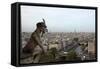 View over Paris from Notre Dame Cathedral-null-Framed Stretched Canvas