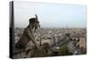 View over Paris from Notre Dame Cathedral-null-Stretched Canvas