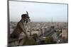 View over Paris from Notre Dame Cathedral-null-Mounted Giclee Print