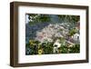 View over Positano and Chiesa Di Santa Maria Assunta, Province of Salerno-Frank Fell-Framed Photographic Print