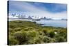 View over Prion Island, South Georgia, Antarctica, Polar Regions-Michael Runkel-Stretched Canvas