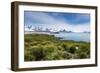 View over Prion Island, South Georgia, Antarctica, Polar Regions-Michael Runkel-Framed Photographic Print