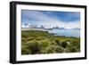 View over Prion Island, South Georgia, Antarctica, Polar Regions-Michael Runkel-Framed Photographic Print