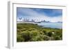 View over Prion Island, South Georgia, Antarctica, Polar Regions-Michael Runkel-Framed Photographic Print