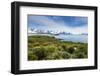 View over Prion Island, South Georgia, Antarctica, Polar Regions-Michael Runkel-Framed Photographic Print