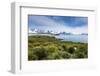 View over Prion Island, South Georgia, Antarctica, Polar Regions-Michael Runkel-Framed Photographic Print