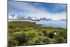 View over Prion Island, South Georgia, Antarctica, Polar Regions-Michael Runkel-Mounted Photographic Print