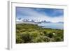 View over Prion Island, South Georgia, Antarctica, Polar Regions-Michael Runkel-Framed Photographic Print