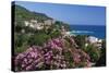 View over Resort, Agios Ioannis, Pelion Peninsula, Thessaly, Greece, Europe-Stuart Black-Stretched Canvas