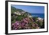 View over Resort, Agios Ioannis, Pelion Peninsula, Thessaly, Greece, Europe-Stuart Black-Framed Photographic Print