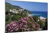 View over Resort, Agios Ioannis, Pelion Peninsula, Thessaly, Greece, Europe-Stuart Black-Mounted Photographic Print