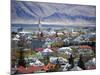 View Over Reykjavik With Mountains Looming in the Distance, Reykjavik, Iceland, Polar Regions-Lee Frost-Mounted Photographic Print