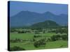 View over Rice Fields from Rich Pass, Near Hue, North Central Coast, Vietnam, Indochina, Southeast -Stuart Black-Stretched Canvas