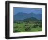 View over Rice Fields from Rich Pass, Near Hue, North Central Coast, Vietnam, Indochina, Southeast -Stuart Black-Framed Photographic Print