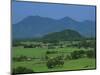 View over Rice Fields from Rich Pass, Near Hue, North Central Coast, Vietnam, Indochina, Southeast -Stuart Black-Mounted Photographic Print