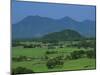 View over Rice Fields from Rich Pass, Near Hue, North Central Coast, Vietnam, Indochina, Southeast -Stuart Black-Mounted Photographic Print