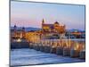 View over Roman Bridge of Cordoba and Guadalquivir River towards the Mosque Cathedral-Karol Kozlowski-Mounted Photographic Print