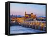 View over Roman Bridge of Cordoba and Guadalquivir River towards the Mosque Cathedral-Karol Kozlowski-Framed Stretched Canvas