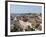 View Over Roof Tops, Old Town, Mombasa, Kenya, East Africa, Africa-Storm Stanley-Framed Photographic Print