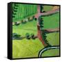 View over Safron Walden or Thaxted-Thomas MacGregor-Framed Stretched Canvas