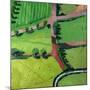 View over Safron Walden or Thaxted-Thomas MacGregor-Mounted Giclee Print