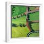 View over Safron Walden or Thaxted-Thomas MacGregor-Framed Giclee Print