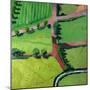 View over Safron Walden or Thaxted-Thomas MacGregor-Mounted Giclee Print