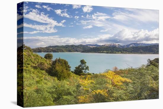 View over Sandy Bay from the Abel Tasman Coast Track, Abel Tasman National Park, near Marahau, Tasm-Ruth Tomlinson-Stretched Canvas