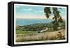 View over Santa Barbara, California-null-Framed Stretched Canvas