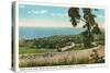 View over Santa Barbara, California-null-Stretched Canvas