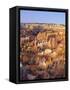 View Over Silent City from Sunset Point, Bryce Canyon National Park, Utah, USA-Tony Gervis-Framed Stretched Canvas