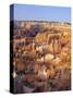 View Over Silent City from Sunset Point, Bryce Canyon National Park, Utah, USA-Tony Gervis-Stretched Canvas