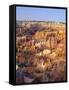 View Over Silent City from Sunset Point, Bryce Canyon National Park, Utah, USA-Tony Gervis-Framed Stretched Canvas