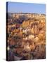 View Over Silent City from Sunset Point, Bryce Canyon National Park, Utah, USA-Tony Gervis-Stretched Canvas