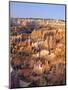 View Over Silent City from Sunset Point, Bryce Canyon National Park, Utah, USA-Tony Gervis-Mounted Photographic Print