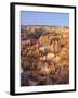 View Over Silent City from Sunset Point, Bryce Canyon National Park, Utah, USA-Tony Gervis-Framed Photographic Print