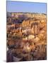 View Over Silent City from Sunset Point, Bryce Canyon National Park, Utah, USA-Tony Gervis-Mounted Photographic Print