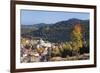 View over St. Blasien with the Monastery, Black Forest, Baden Wurttemberg, Germany, Europe-Markus Lange-Framed Photographic Print