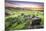 View over Stanage Edge Millstones at Sunrise, Peak District National Park, Derbyshire-Andrew Sproule-Mounted Photographic Print