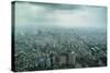 View over Taipei from the 101 Tower, Taipei, Taiwan, Asia-Michael Runkel-Stretched Canvas