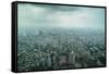 View over Taipei from the 101 Tower, Taipei, Taiwan, Asia-Michael Runkel-Framed Stretched Canvas