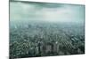 View over Taipei from the 101 Tower, Taipei, Taiwan, Asia-Michael Runkel-Mounted Photographic Print