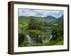 View over Tea Estate, Tamil Nadu, India, Asia-Stuart Black-Framed Photographic Print