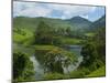 View over Tea Estate, Tamil Nadu, India, Asia-Stuart Black-Mounted Photographic Print